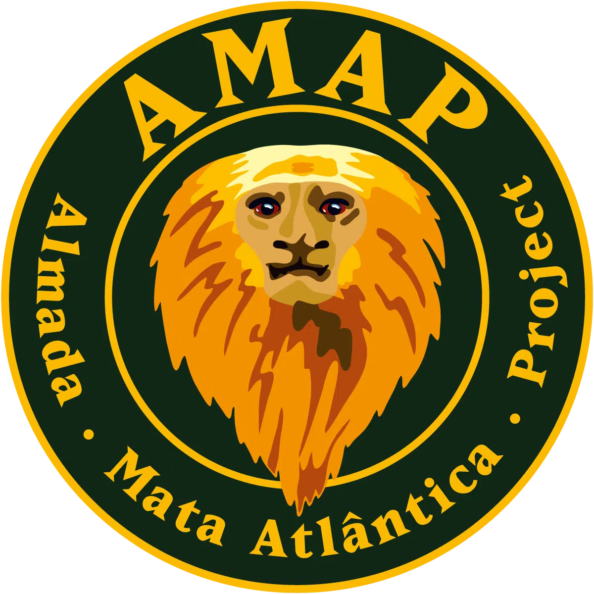 AMAP 2 AMAP 1