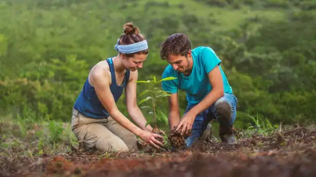 AMAP 9 AMAP planting