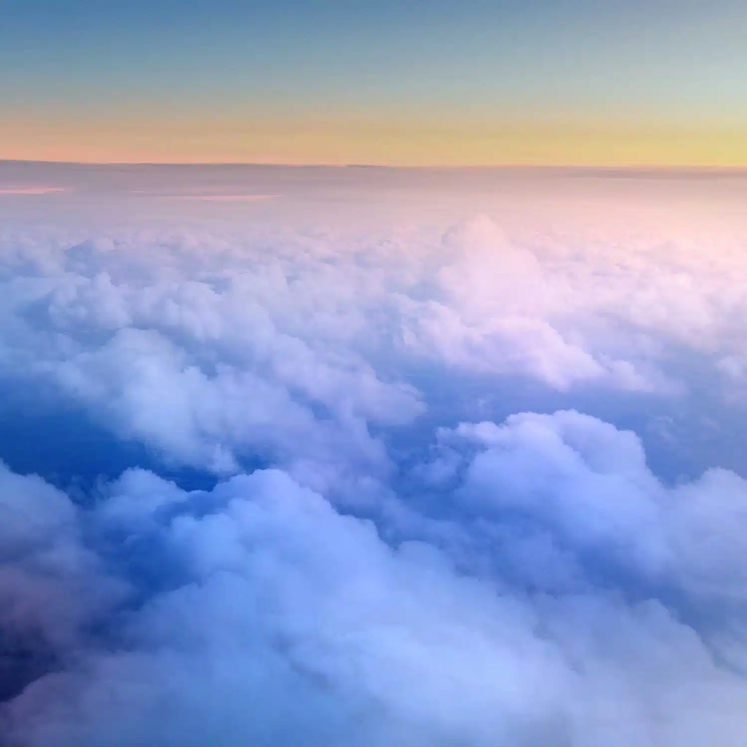 Milky Chance European Webstore 1