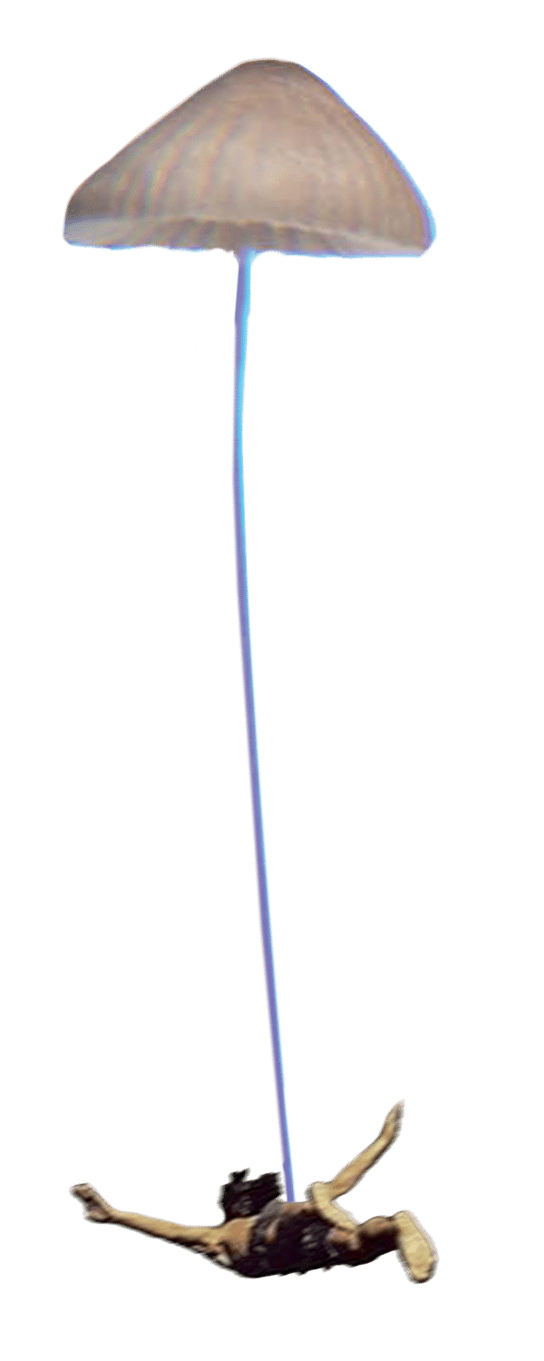 Milky Chance European Webstore 2